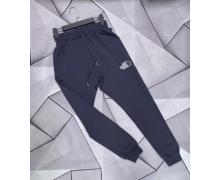 Штаны Спорт мужские Verton, модель W2548 navy демисезон