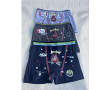 Трусы детские Disneyopt kids, модель 2054 mix (6-7) лето