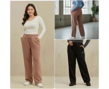 Штаны Спорт женские Hoan, модель HN796 mix зима