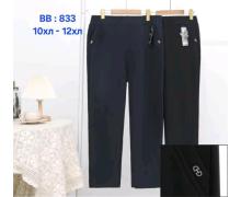 Штаны женские Hoan, модель BB833 mix зима