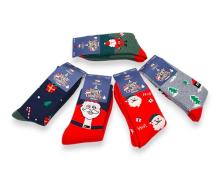 носки мужские Jelzin, модель A1543-1 mix зима