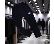 Штаны Спорт мужские Newe Esto, модель NE52 black демисезон