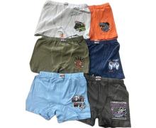 Трусы детские Anibur, модель 4230 mix (4-5) демисезон