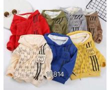 Батник детский Фунтик, модель 18814 yellow зима