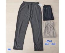 Штаны женские Hoan, модель 2504 black зима