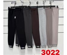 Штаны Спорт женские T.S.Eliot, модель 3022 d.beige зима