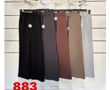 Штаны Спорт женские T.S.Eliot, модель 883 beige зима