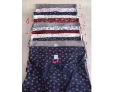 Трусы женские Disneyopt, модель DS387-2571PD2 mix(2XL) лето