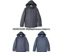 Куртка мужская Ale-Ate, модель AB2603 navy зима