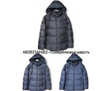 Куртка мужская Ale-Ate, модель AB2621AH black зима