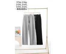 Штаны Спорт женские Kenalin, модель 9756-2 black демисезон