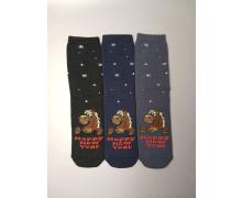 Носки мужские sss Annet, модель HK242 mix зима