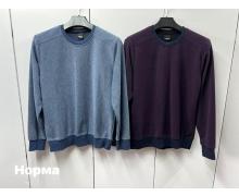 Свитер мужской Navas, модель VS3904 purple демисезон