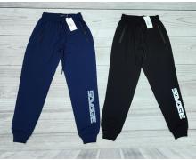 Штаны Спорт мужские sss Annet, модель YT0150 black демисезон