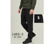 Штаны Спорт мужские Kenalin, модель 1403-1 grey демисезон