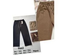 Штаны Спорт мужские Kenalin, модель 9662 mix демисезон