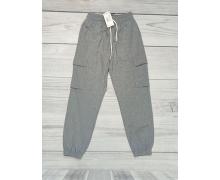 Штаны Спорт мужские Samo, модель 2110 grey демисезон