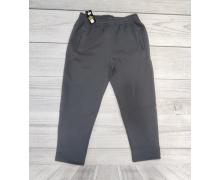 Штаны Спорт мужские Samo, модель 504 grey зима