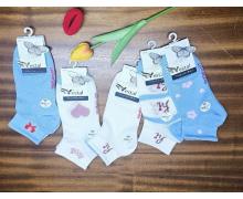 Носки мужские sss Annet, модель XH-M23 mix лето