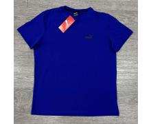 Футболка мужская MirWear, модель 276 grey лето