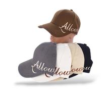 Кепка мужская КОРОЛЕВА, модель 12-09 mix лето