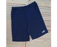 Шорты мужские Sport style, модель 02-10 navy лето