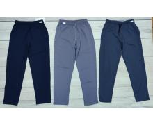 Штаны Спорт мужские Imlion, модель 0700 black демисезон