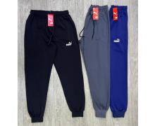 Штаны Спорт мужские MirWear, модель 261-1 blue демисезон