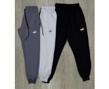 Штаны Спорт мужские MirWear, модель 262-4-1 l.grey демисезон