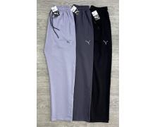 Штаны Спорт мужские MirWear, модель 264-5 l.grey демисезон